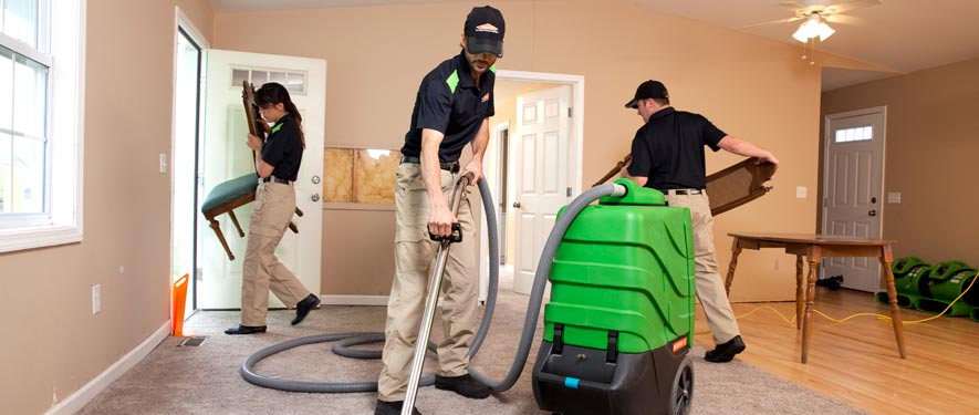 Whitehaven, TN cleaning services
